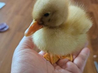 시금치15102님의 작성글 사진