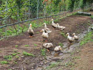 시금치15102님의 작성글 사진