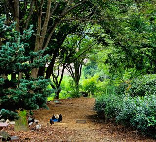 시금치15102님의 작성글 사진