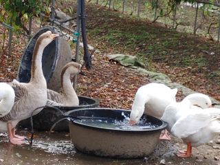 시금치15102님의 작성글 사진