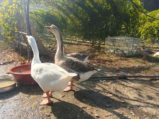 시금치15102님의 작성글 사진