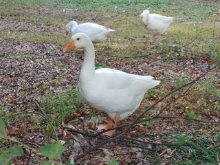 시금치15102님의 작성글 사진