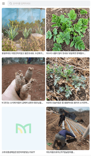 팜모닝 운영자님의 자유주제 · 자유게시판 작성글 사진