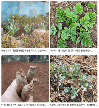 팜모닝 운영자님의 자유주제 · 자유게시판 작성글 사진