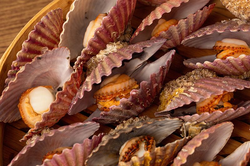 통영만석해물님의 장터 판매 상품 [통영 홍가리비 1kg 5200 원 ] 첨부 사진