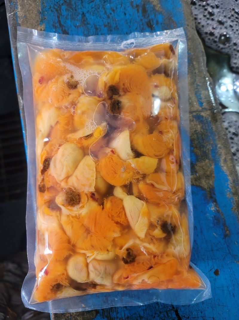 통영만석해물님의 장터 판매 상품 [통영 멍게 3400 월 손질 깐멍게  18000 원] 첨부 사진