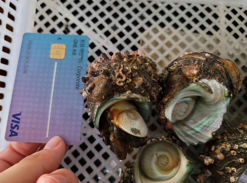 통영만석해물님의 장터 판매 상품 [통영 뿔소라] 첨부 사진