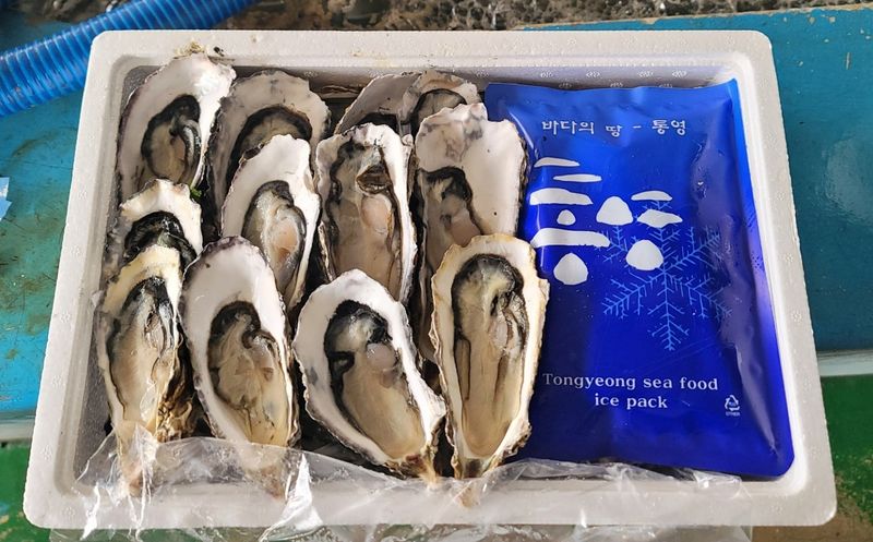 장터 상품 [통영 생굴, 석화 산지직송 경매장 직거래 ] 썸네일