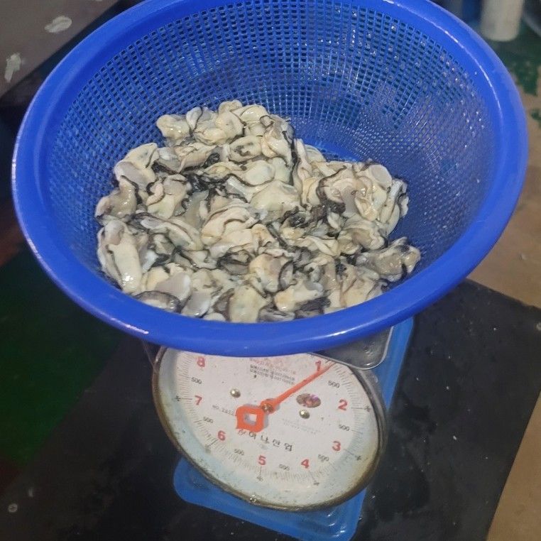 통영만석해물님의 장터 판매 상품 [통영 생굴, 석화 산지직송 경매장 직거래 ] 첨부 사진