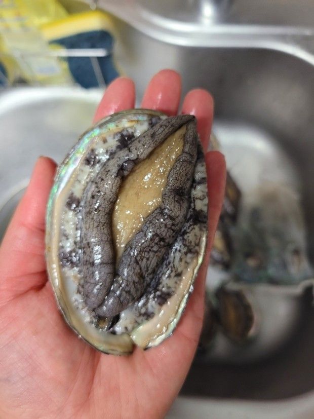 장터 상품 [통영 전복] 썸네일