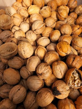 신지님의 기타작물 · 자유게시판 작성글 사진