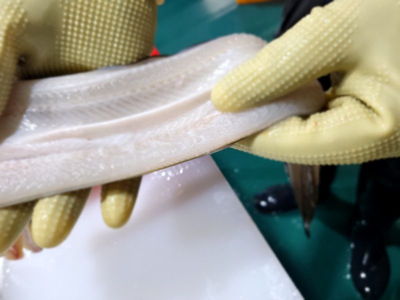 통영만석해물님의 장터 판매 상품 [통영 바다장어 할인행사] 첨부 사진