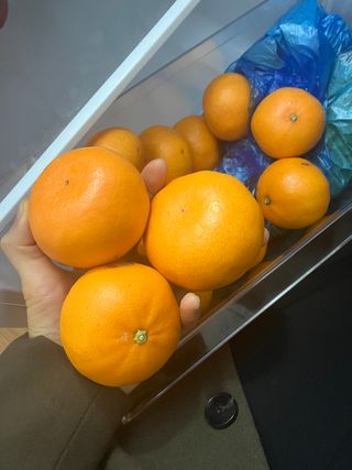 test2022101907님의 장터이야기 · 장터후기 작성글 사진