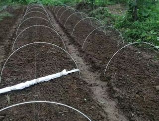 다이쏘(권자영)님의 작성글 사진