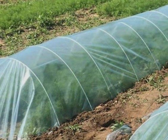 장터 상품 [미니하우스 폴대 두께5mm x 길이2미터] 썸네일