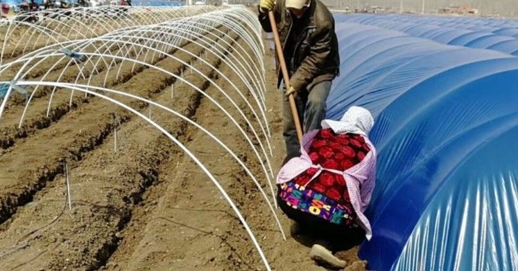 다이쏘(권자영)님의 장터 판매 상품 [미니하우스 폴대 두께5mm x 길이2미터] 첨부 사진