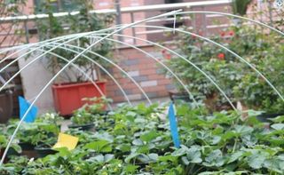 다이쏘(권자영)님의 작성글 사진