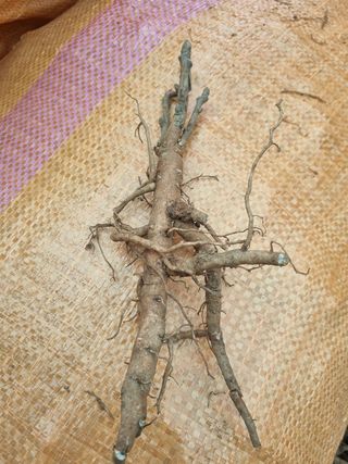 이호성님의 기타작물 · 자유게시판 작성글 사진