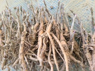 이호성님의 기타작물 · 자유게시판 작성글 사진