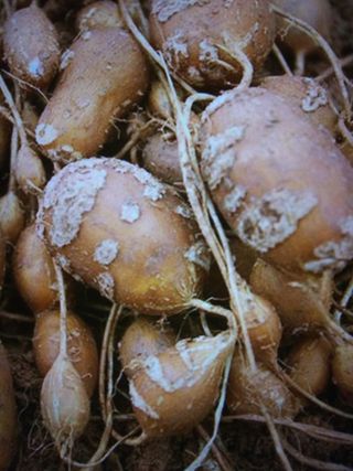 산들농장님의 작성글 사진