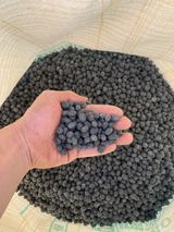 팜모닝 콩·병해충상담 게시글 이미지