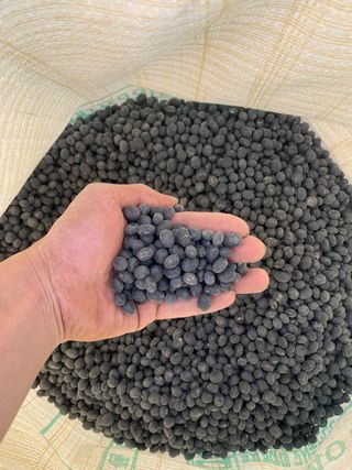 황명선님의 콩 · 병해충상담 작성글 사진