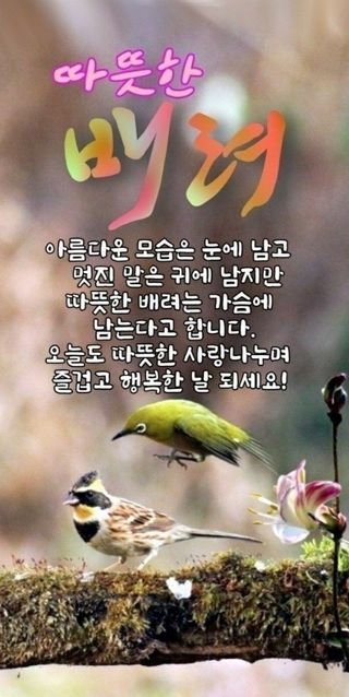 test2022101903님의 자유주제 · 자유게시판 작성글 사진