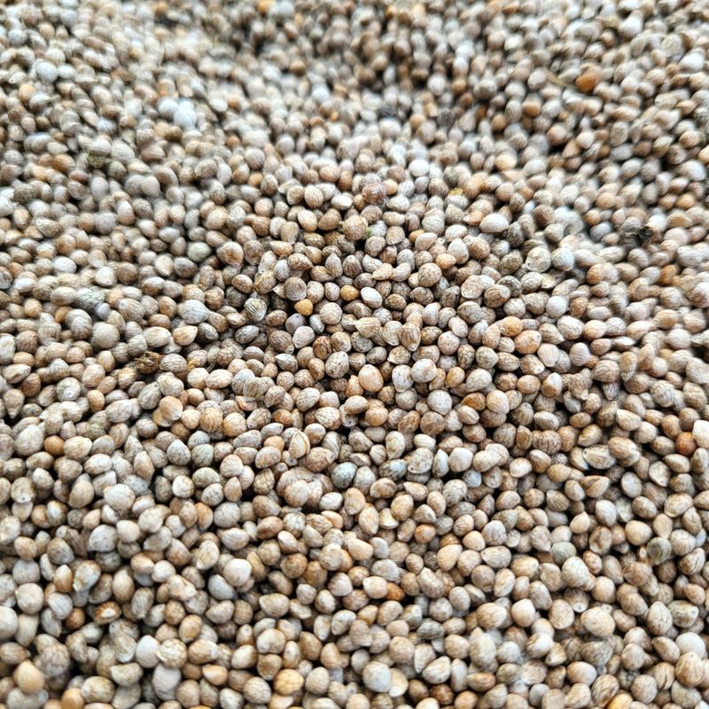 장터 상품 [세척들깨] 썸네일