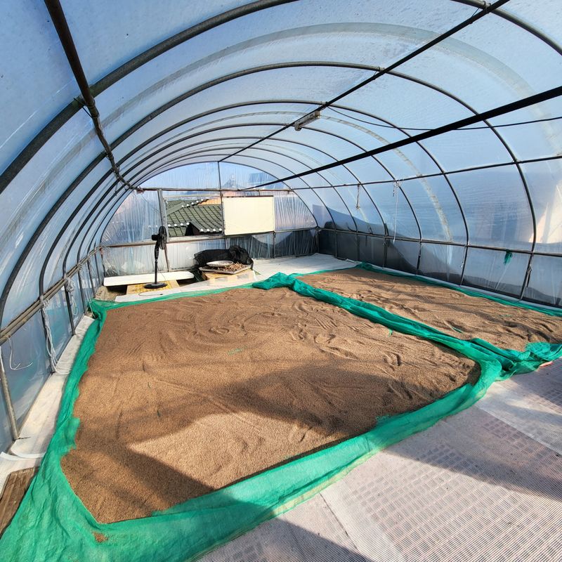 아산울시님의 장터 판매 상품 [세척들깨] 첨부 사진