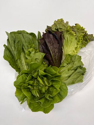 자연좋고사람좋고님의 장터이야기 · 장터후기 작성글 사진