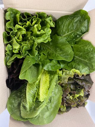 자연좋고사람좋고님의 장터이야기 · 장터후기 작성글 사진