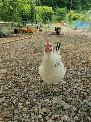 시금치15102님의 작성글 사진