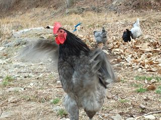 시금치15102님의 작성글 사진