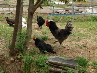 시금치15102님의 작성글 사진