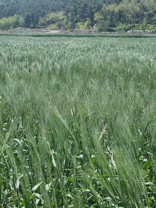장준석님의 작성글 사진