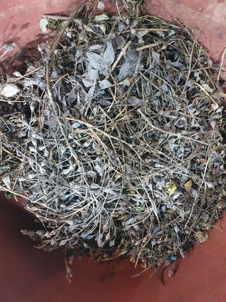 김홍진님의 작성글 사진