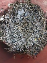 팜모닝 · 게시글 이미지