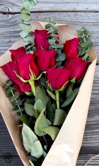 쨍하고해뜨는농원님의 기타작물 · 자유게시판 작성글 사진