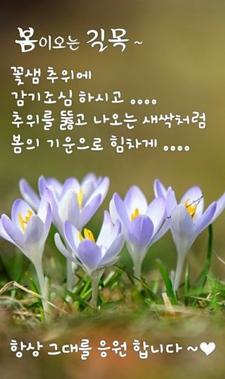 test2022101903님의 자유주제 · 자유게시판 작성글 사진