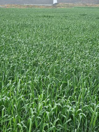 장준석님의 작성글 사진