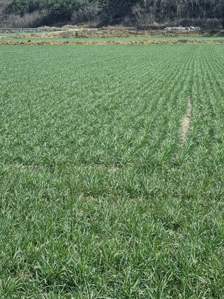 장준석님의 작성글 사진