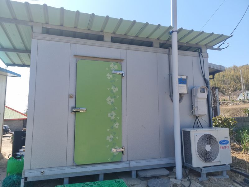 장준석님의 장터 판매 상품 [호라산밀 국내산3kg(2023년산판매)판매완료 성원에 감사드립니다 .] 첨부 사진