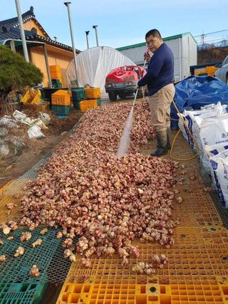 이현상님의 기타작물 · 자유게시판 작성글 사진