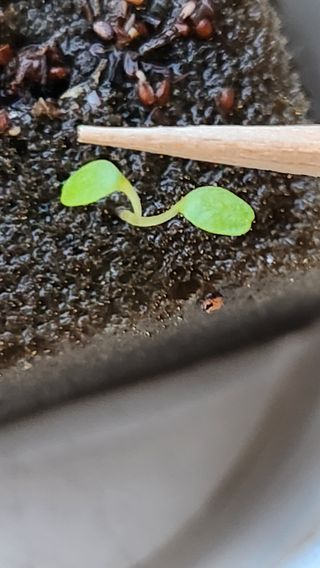 천종현님의 기타작물 · 자유게시판 작성글 사진