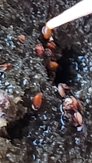 천종현님의 기타작물 · 자유게시판 작성글 사진