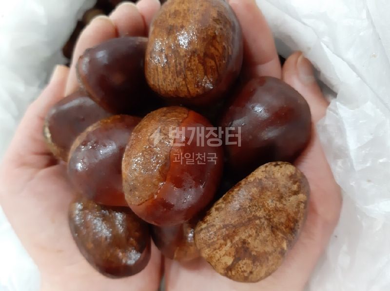장터 상품 [[판매중단] 🌰공주왕밤3kg🌰무료배송🌰 ] 썸네일
