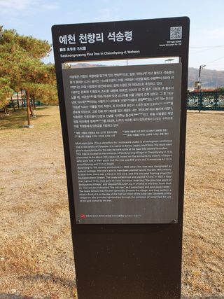 예천토종꿀벌 님의 기타작물 · 자유게시판 작성글 사진