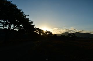 산 아래님의 마늘 · 비료•농약 작성글 사진