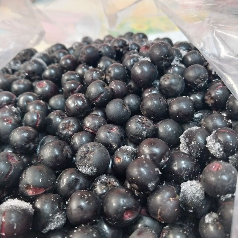 아로대추님의 장터 판매 상품 [아로니아  분말 10키로 판매합니다] 첨부 사진