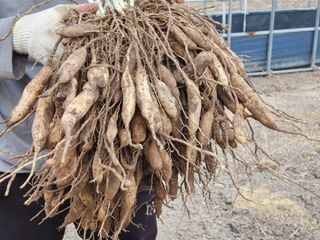 이창신님의 작성글 사진